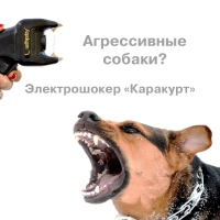 Крымчане покупают электрошокеры для защиты от бродячих собак