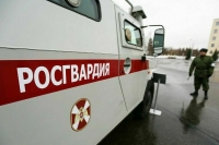 Сторожевые и военизированные подразделения Росгвардии получат электрошокеры